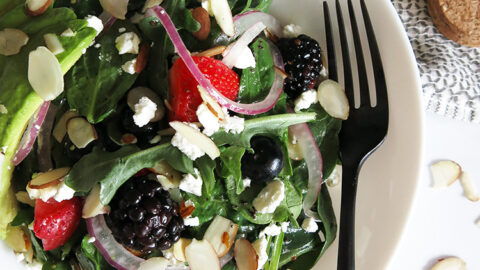 Mixed Berry Salad with Poppy Seed Dressing Mixed Berry Salad with Poppy Seed Dressing