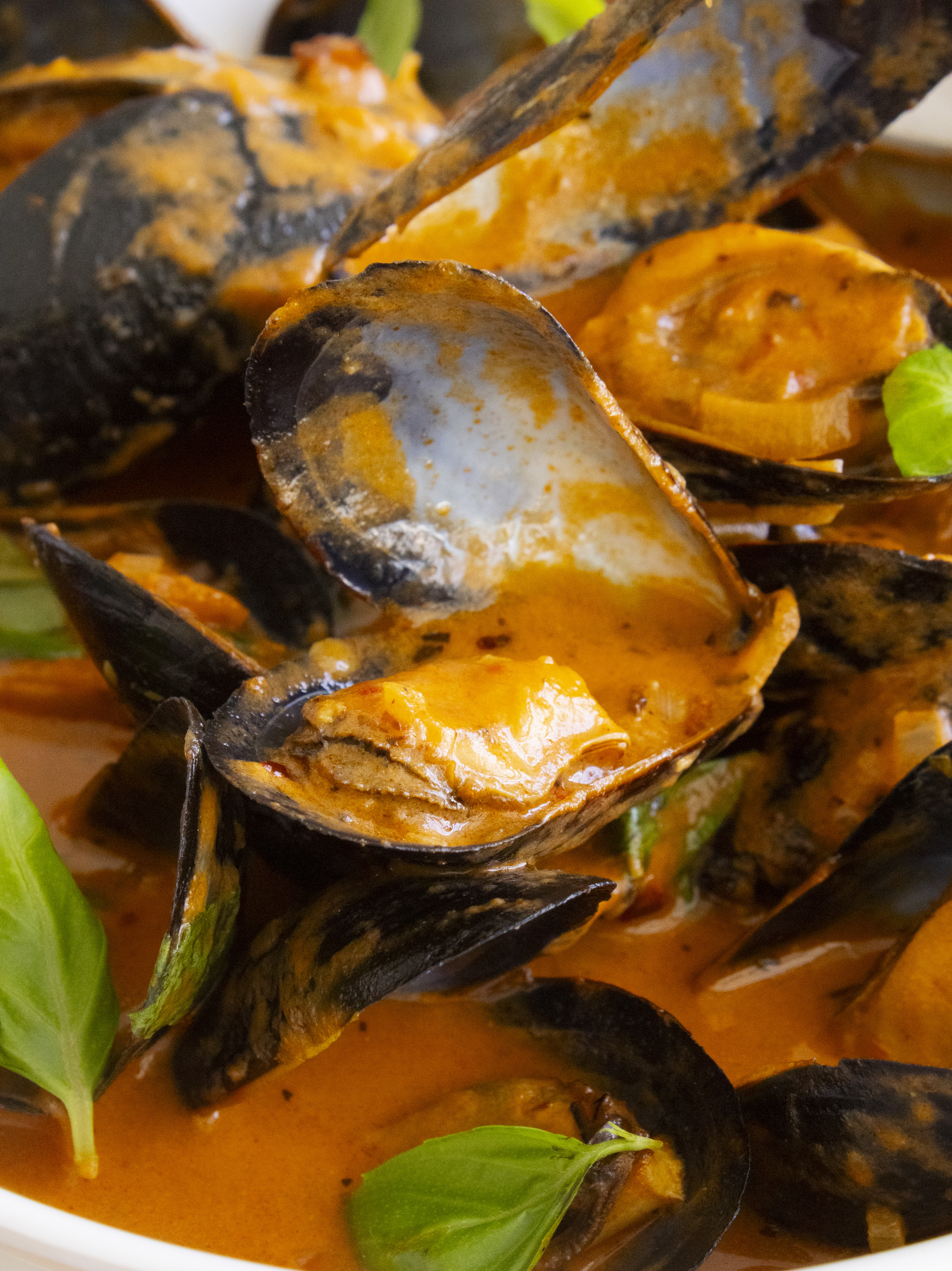 close up of Spicy Vodka Mussels